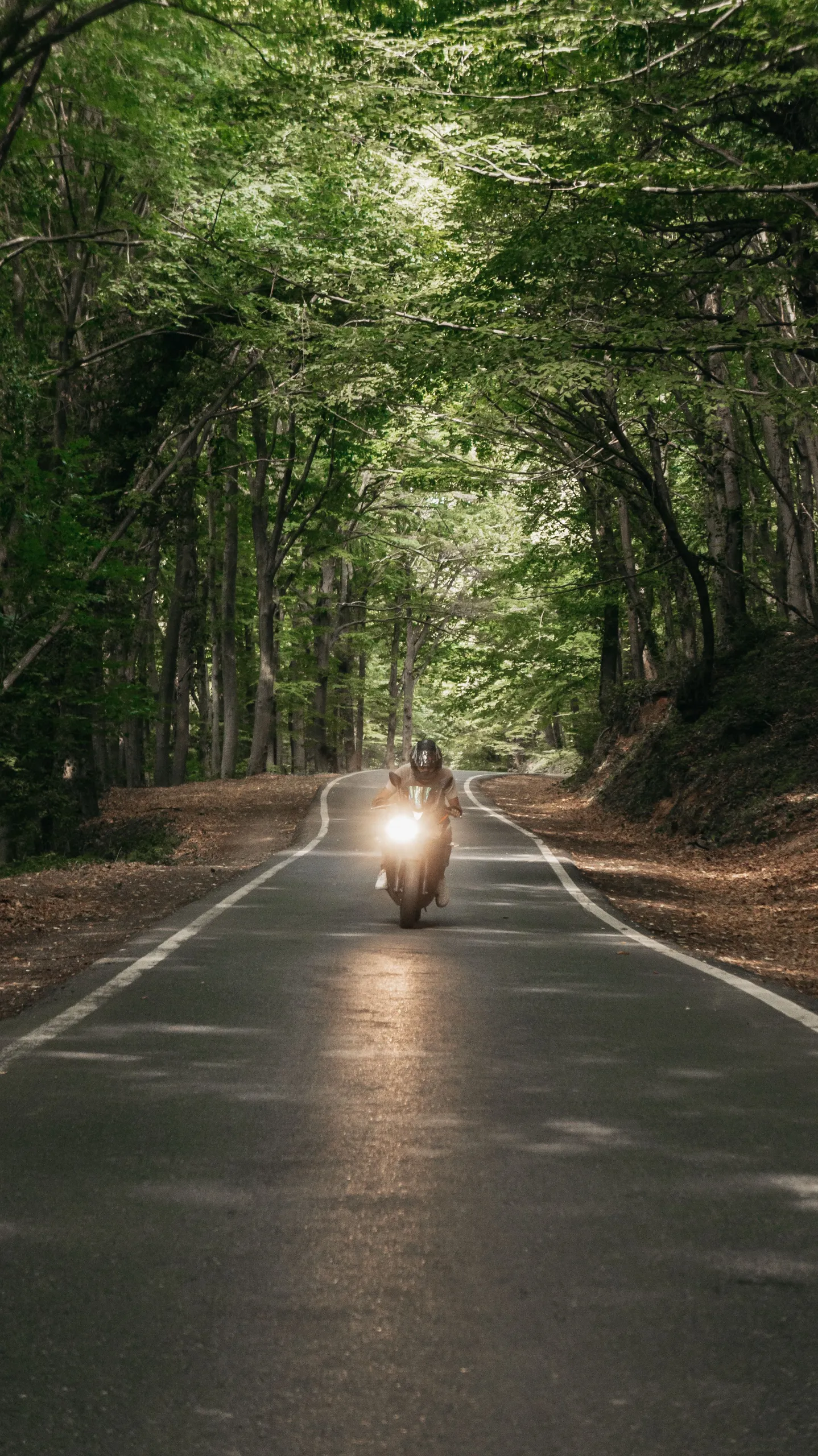 Motoros erdei úton, bekapcsolt fényszóróval